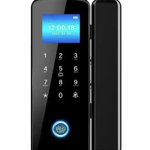 Fábrica de fuente de desarrollo y personalización del panel de visualización de bloqueo de huellas dactilares de zafiro, personalización basada en dibujos y muestras - Product Image 1