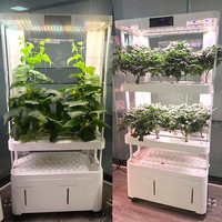 Système hydroponique intelligent pour la culture à domicile, équipement hydroponique, outil de plantation sans terre pour légumes et fleurs, LED