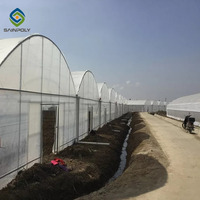 Serre verte en acier à travée multiple Cadre en métal Film plastique Graines de légumes Serre agricole pour tomates