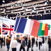 Petits drapeaux en gros 100% polyester, drapeau français à tenir à la main, logo personnalisé, 14*21cm, impression numérique de haute qualité, forme carrée
