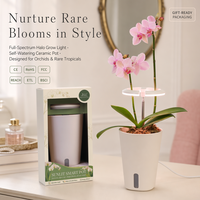Coffret Cadeau Plante d'Orchidée avec Lampe de Croissance et Pot Intelligent Auto-Arrosant – Boîte Cadeau de Noël pour Plantes d'Intérieur – Vente en Gros Personnalisable