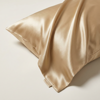 Taie d'oreiller moderne de style hôtelier en soie de mûrier 100% couleur unie avec fermeture éclair
