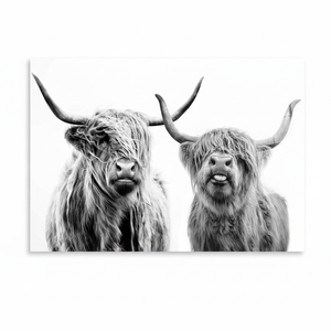 Impression sur toile Vache des Highlands : Décoration de ferme écossaise en noir et blanc, ART SUR VERRE TÉRMÉRÉ - Product Image 2