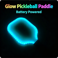 Ensemble de raquettes de pickleball à LED lumineuses : Comprend 2 balles à 40 trous et un sac en filet, directement de l'usine