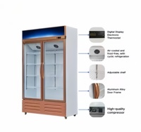 Réfrigérateur commercial vertical à porte vitrée pour boissons gazeuses, bières et sodas, avec éclairage LED