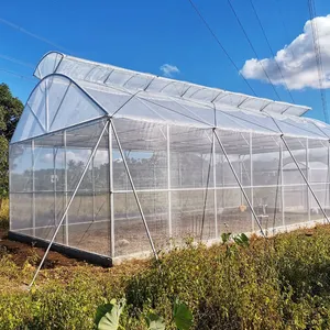 Resistenza ai raggi UV area calda piante tropicali ventilazione laterale in crescita film plastico sfiato superiore serra a campata singola