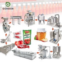 Volledig automatische 100kg/uur complete mini-tomatenverwerkingsinstallatie pasta-productielijn alle machines
