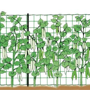 Filet d'escalade vert 2.0x10m pour les loisirs et l'exercice en plein air - Product Image 3