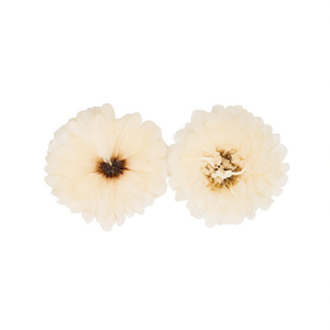 Ilan Flores Teste di Fiori Secchi 4cm 2pz per Decorazioni Artigianali - Product Image 1