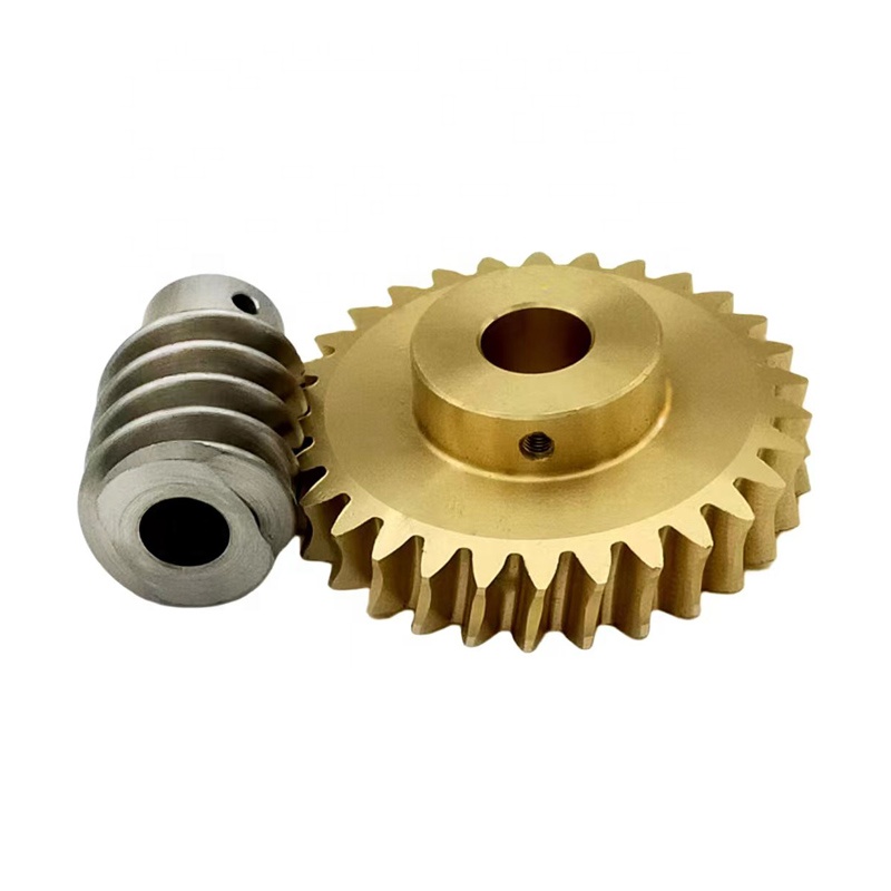 Tùy Chỉnh Lớn Thép Không Gỉ Worm Gear