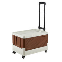 Chariot pliable en plastique à quatre roues pour le camping, chariot pliable en plastique durable