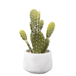 Artificial Cactus Potted Plant High Simulation Indoor Decor 24cm Succulent Bonsai Desktop Ornament - Product Image 4