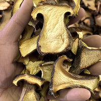 Tranches de Champignons Slippery Jack Séchées Naturellement, Qualité Supérieure, Comestibles, Bords Bruns, Pulpe Jaune Pâle, Idéales pour Soupes, Ragoûts et Plats Braisés