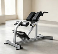 Équipement de musculation commercial REYK, banc d'extension dorsal Roman Chair - Cadre en acier réglable, design robuste et sûr