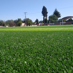 Gazon artificiel paysager naturel de 30 mm de hauteur, tapis de gazon artificiel, rouleau de gazon - Product Image 4