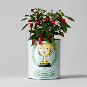 Kit per Coltivazione di Peperoncino Biologico, Design Artificiale a Forma di Sfera, Fioriera per Casa e Giardino, per Scrivania o Albero, Personalizzazione OEM Disponibile - Product Image 1