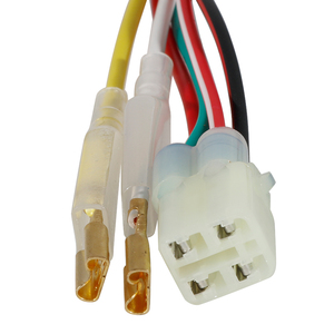 Bobine de Stator De moto pour <span class=keywords><strong>KTM</strong></span> BOBINE de STATOR rotor Bobine 54839204000 125 SX TYLA RATTRAY <span class=keywords><strong>EXC</strong></span> SIX JOURS 125 Usine Édition <span class=keywords><strong>EXC</strong></span> - Product Image 5