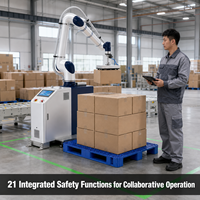 Paletizador de Alta Velocidad JINWEI DS-CR17-G/S, 17 kg, 2047 mm, 13 piezas/min, CE NSF ISO 12100, para Envasado de Alimentos y Productos para Mascotas, Sin Necesidad de Programación