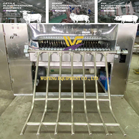 Machine de dépoilage hydraulique pour porcs, très vendue, en acier inoxydable 304, pompe, moteur, roulement, 600bp/h, longue durée de vie pour porcs