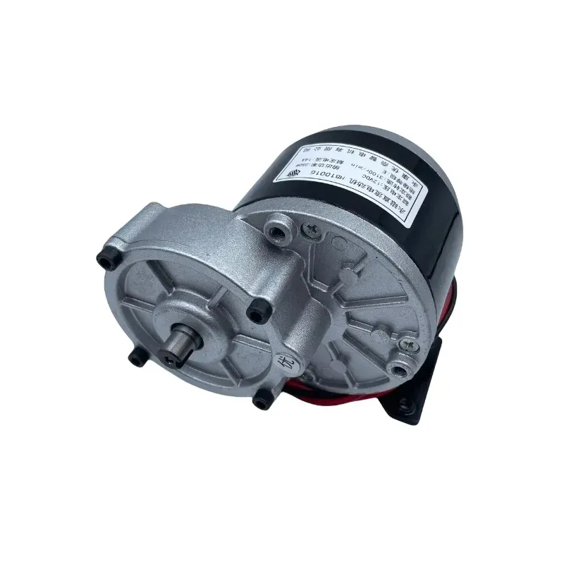 12V 250W Pomp Motor High Power Borstel Opblaasbare Pomp Motor Hb10016 Nominale Stroom 28.4a