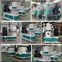 Haute efficacité bonne Production biomasse Machine à granulés sciure de bois centrifuge anneau Vertical Die moulin à granulés dispositif ligne bois Yibao