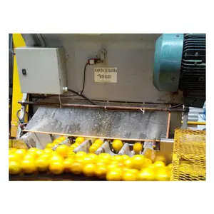 Mango Puree Production Line