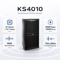 Speaker Karaoke NEARSTAR 10 Inch 300W Profesional PA Loudspeaker Tweeter 1.5 Inch Sistem Suara Berkabel untuk Panggung Klub