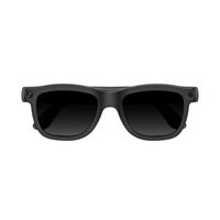 Lunettes Intelligentes E09C OpenAI à Reconnaissance d'Objets, Appel Vidéo, Verres Électrochromiques, Lunettes de Soleil Technologiques, Marque Privée