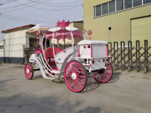 Carruaje de Caballos Eléctrico Blanco y Rosa, Precio de Fábrica, Carro de Paseo para Bodas, Carruaje Real - Product Image 3