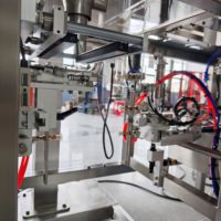 Machine d'emballage Doypack pour sachets stand-up, sachets à fermeture éclair, sachets plats, lait en poudre, protéines en poudre, assaisonnements en poudre