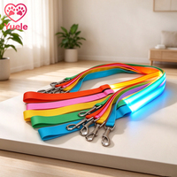 Kalung Leher LED Isi Ulang USB untuk Anjing Kecil, Tali Traksi Bercahaya, Bahan Nilon Tebal Berlapis Pita