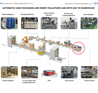 Soluzione Automatica Verticale per l'Imballaggio di Scatole, Macchina Piegatrice per Cartoni, per Bottiglie Alte, Lattine, Film, Carta, Plastica