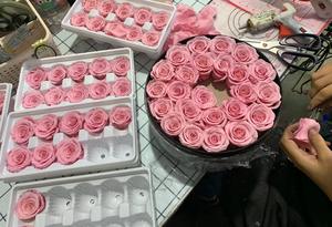 Eternity Everlasting Enchanted suministros de rosas eternas rosas arcoíris preservadas caja de corazón Corazón de rosas eternas - Product Image 4