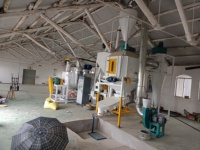 Machine à granulés à anneau haute efficacité pour l'alimentation animale, équipement de ligne de traitement grande capacité pour la production industrielle de bétail et de volailles