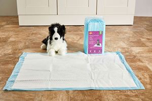 Pet Diaper Training <b>Mat</b> Pet Peep Pad <b>Large</b> with Adhesive Pet Toilet <b>Mat</b> for Dogs - Product Image 3
