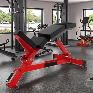 Équipement de <span class=keywords><strong>musculation</strong></span> professionnel, banc inclinable réglable pour l'entraînement des triceps et des biceps, utilisation universelle - Product Image 1