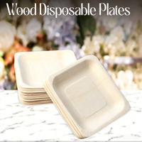 Assiettes carrées jetables en bois naturel de 140 mm, résistantes à l'huile, robustes, pour sushis, gâteaux, pique-niques, fêtes, barbecues et traiteurs