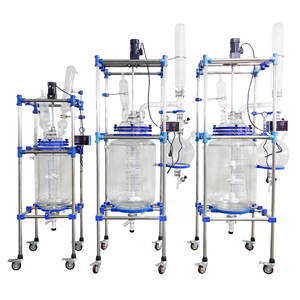 Équipement apicole : Bioréacteur à chemise en verre borosilicaté 3.3, capacités 5L, 10L, 20L, 30L, 50L, 100L, 200L - Product Image 5