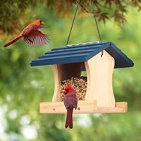 Kits de construction de nichoir en bois avec corde suspendue conception brevetée maison d'oiseau extérieur mangeoire à oiseaux Cage