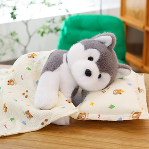 Peluche chiot mignonne avec couverture, jouet en peluche chien super doux, vente en gros et au <span class=keywords><strong>d</strong></span>étail, compagnon Wangwang, <span class=keywords><strong>jouets</strong></span> créatifs pour enfants - Product Image 5