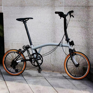 Bicicleta dobrável 16 polegadas 3 5 7 9 velocidades Steel Frame Mini bicicleta dobrável TRI-bicicleta dobrável - Product Image 4