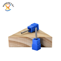 Fraise en carbure de tungstène personnalisable pour panneau MDF CNC mèche droite à cannelures jumelles OEM et ODM pris en charge