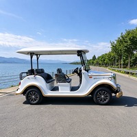 Voiture électrique de tourisme de style rétro de qualité supérieure pour le service de navette des clients d'hôtel avec couleur personnalisée et design de logo.