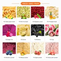 Frutas Mixtas Liofilizadas al por Mayor: Fresas, Plátanos, Manzanas y Arándanos Liofilizados