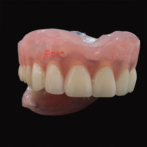 Dentiere acrilico completo dentiere acrilico parziale ISO CE prezzo a buon mercato - Product Image 2