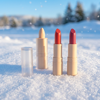Vente en gros Maquillage végétalien longue durée imperméable à l'eau Rouge à lèvres mat de luxe Rouge à lèvres de marque privée