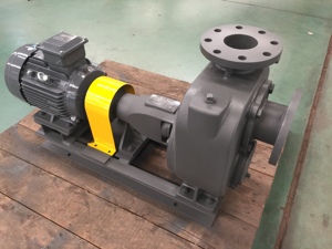 ปั๊มหอยโข่งแบบดูดเองได้ GMP KMP - Product Image 4