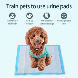 Dezhu Vente en gros Offre Spéciale Usine Tapis Absorbant Universel en Bois Durable pour Chiens et Chats à Absorption Rapide - Product Image 4