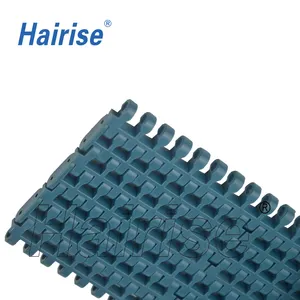 Hairise Serie modularer Riemen für Obst und Gemüse für Förderband herstellen in China