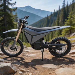 Moto de motocross professionnelle Y-Volt Surge V 97V 45Ah 948N.m, autonomie de 75 miles, robuste pour terrains difficiles, Surge V 97V Voltage P - Product Image 1
